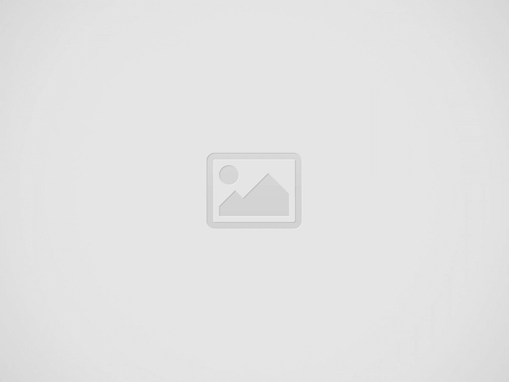 Door-Kickplate-SilverVein-Pallet-Transparent-min_11zon